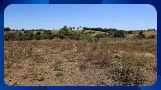 Fazenda/Sítio com 1 Quarto à venda, 30000m² no , Palmares