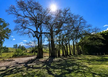 Lote/Terreno à venda, 113740m² no , São Bento do Sapucaí