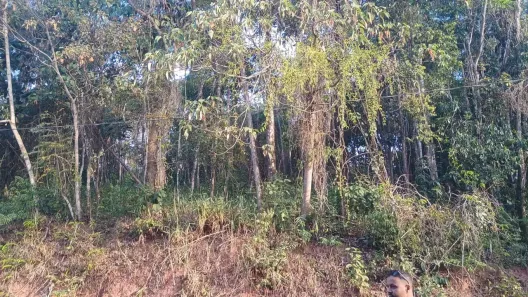 Lote/Terreno à venda, 1397m² no , Rio Acima