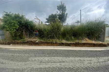 Lote/Terreno à venda, 439m² no Arapongal, Registro