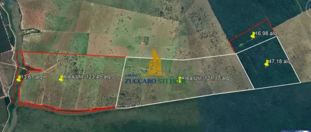 Fazenda/Sítio com 10 Quartos à venda, 6000m² no Centro, Santa Rita do Pardo