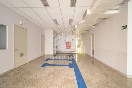 Casa para alugar, 592m² no Vila Ida, São Paulo