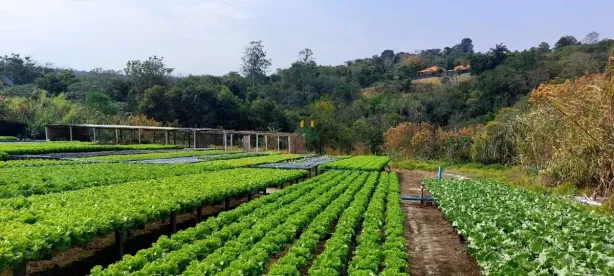 Lote/Terreno à venda, 14m² no Bacaetava, Iperó