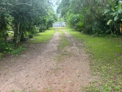 Lote/Terreno à venda, 13000m² no Aldeia dos Camarás, Camaragibe