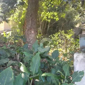 Lote/Terreno à venda, 750m² no Serra Grande, Niterói