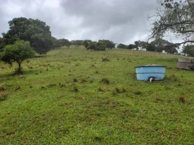 Fazenda/Sítio com 4 Quartos à venda, 169400m² no , Piracaia