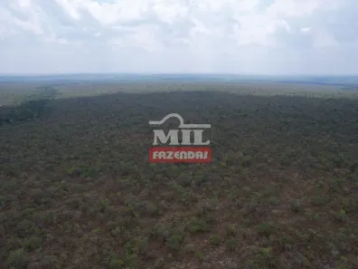 Fazenda/Sítio à venda, 500m² no , Guaraí