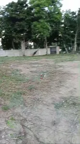 Lote/Terreno à venda, 1000m² no Bela Vista, Guarapari