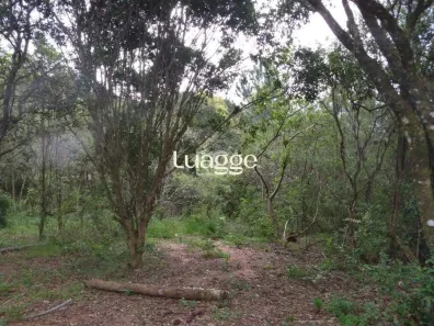 Lote/Terreno para alugar, 113942m² no Belém Velho, Porto Alegre