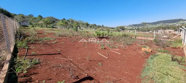Fazenda/Sítio com 1 Quarto à venda, 1000m² no Conjunto Habitacional Jamile Dequech, Londrina