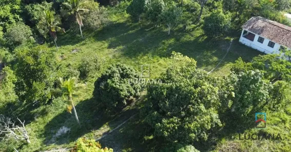 Fazenda/Sítio à venda, 5000m² no Ebenezer, Gravatá