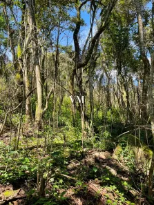 Fazenda/Sítio à venda, 119m² no Caraguatá, Mairiporã