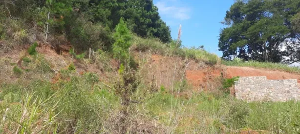 Lote/Terreno à venda, 495m² no Itacorubi, Florianópolis
