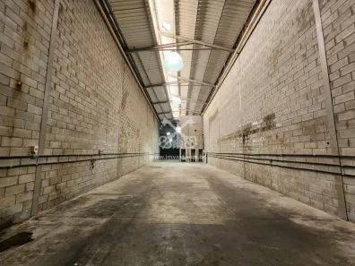 Galpão/Depósito/Armazém para alugar, 291m² no Vila Graciosa, São Paulo