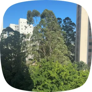 Apartamento com 2 Quartos para alugar, 50m² no Vila Vermelha, São Paulo