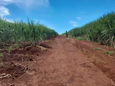Fazenda/Sítio com 5 Quartos à venda, 822800m² no , Jardinópolis