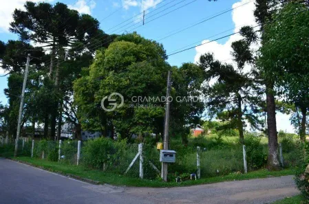 Lote/Terreno à venda, 5000m² no São Lucas, Canela