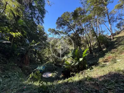 Lote/Terreno à venda, 4200m² no Carlos Guinle, Teresópolis