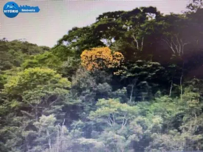 Lote/Terreno à venda, 63500m² no Sorocamirim (Canguera), São Roque