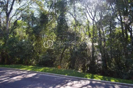 Lote/Terreno à venda, 800m² no Vila Suica, Gramado