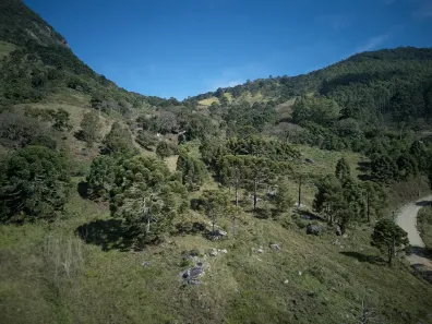 Fazenda/Sítio à venda, 77098685m² no , São Bento do Sapucaí