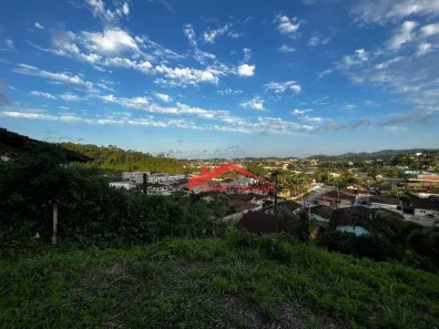Lote/Terreno à venda, 442m² no Itaum, Joinville