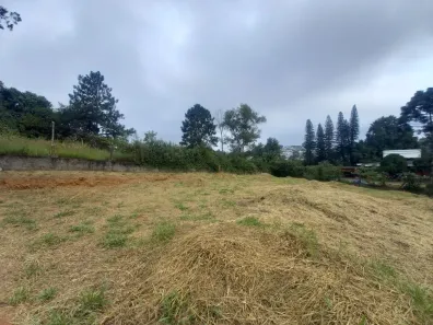 Lote/Terreno à venda, 2520m² no Paisagem Renoir, Cotia
