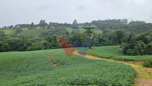 Fazenda/Sítio com 1 Quarto à venda, 79000m² no , Contenda