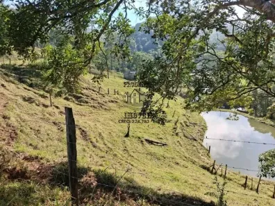Fazenda/Sítio com 3 Quartos à venda, 5m² no Jardim das Palmeiras, Juquitiba