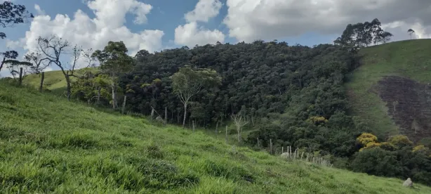 Fazenda/Sítio com 2 Quartos à venda, 100m² no Natividade da Serra, Natividade da Serra