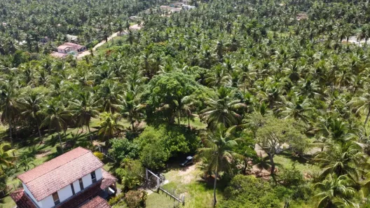 Fazenda/Sítio com 3 Quartos à venda, 143700m² no , Conde