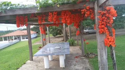 Fazenda/Sítio com 3 Quartos à venda, 96800m² no , Taquaral de Goiás