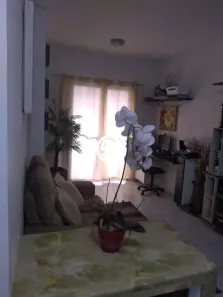 Apartamento com 2 Quartos à venda, 50m² no Jardim América da Penha, São Paulo