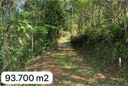Fazenda/Sítio à venda, 93700m² no São Martinho, Santa Cruz do Sul