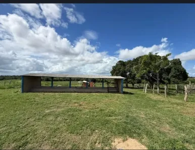 Fazenda/Sítio com 3 Quartos à venda, 181500000m² no , São Cristóvão