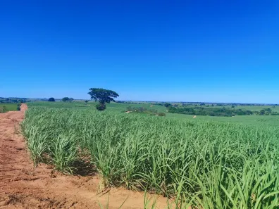 Fazenda/Sítio à venda, 1578082m² no Centro, Martinópolis