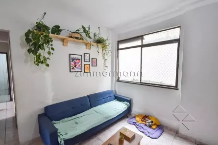 Apartamento com 3 Quartos à venda, 85m² no Cambuci, São Paulo