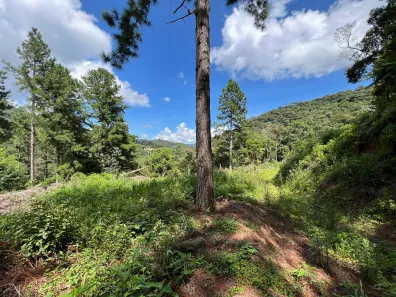 Lote/Terreno à venda, 240000m² no Centro, Santo Antônio do Pinhal