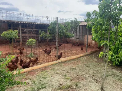 Fazenda/Sítio com 1 Quarto à venda, 50m² no Parque São Jorge, Piracicaba