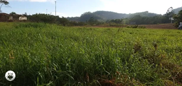 Fazenda/Sítio à venda, 72513m² no Centro, Araquari
