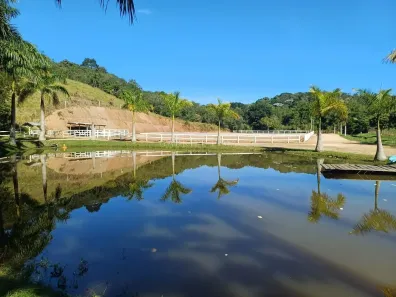 Fazenda/Sítio com 4 Quartos à venda, 91000m² no Pau Arcado, Campo Limpo Paulista