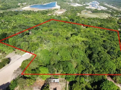 Lote/Terreno à venda, 40000m² no , Nísia Floresta
