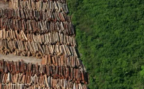 Fazenda/Sítio à venda, 1930000m² no , Trairi