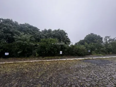 Lote/Terreno à venda, 530m² no Vista Alegre, Ivoti