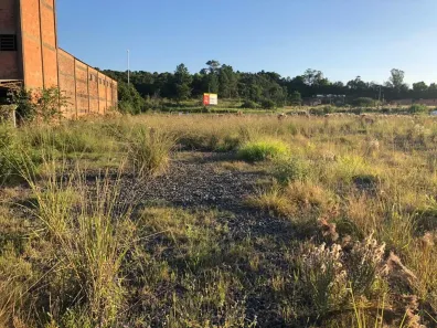 Lote/Terreno para alugar, 2000m² no Centro, Nova Santa Rita