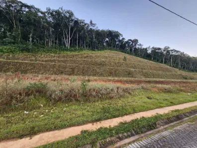 Lote/Terreno à venda, 286m² no Dom Joaquim, Brusque
