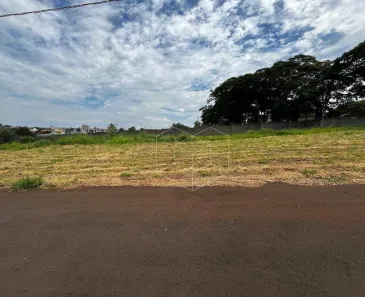 Lote/Terreno à venda, 488m² no Vila Real, Jaú