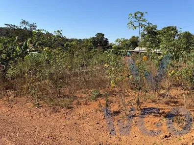 Fazenda/Sítio com 3 Quartos à venda, 4000m² no Setor Central, Anápolis