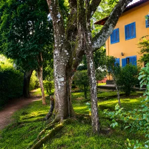 Lote/Terreno à venda, 37000m² no Nova Califórnia, Juiz de Fora