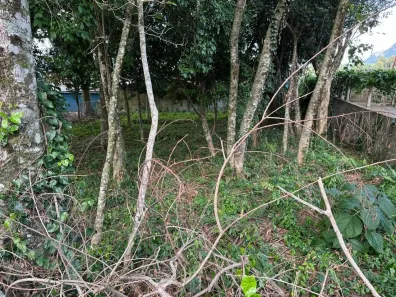 Lote/Terreno à venda, 490m² no Várzea Grande Belvedere, Gramado